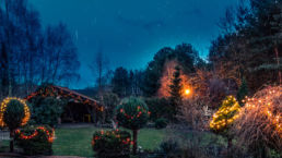 deco-noel-jardin