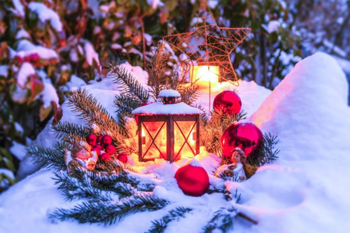 jardin-noel-scaled