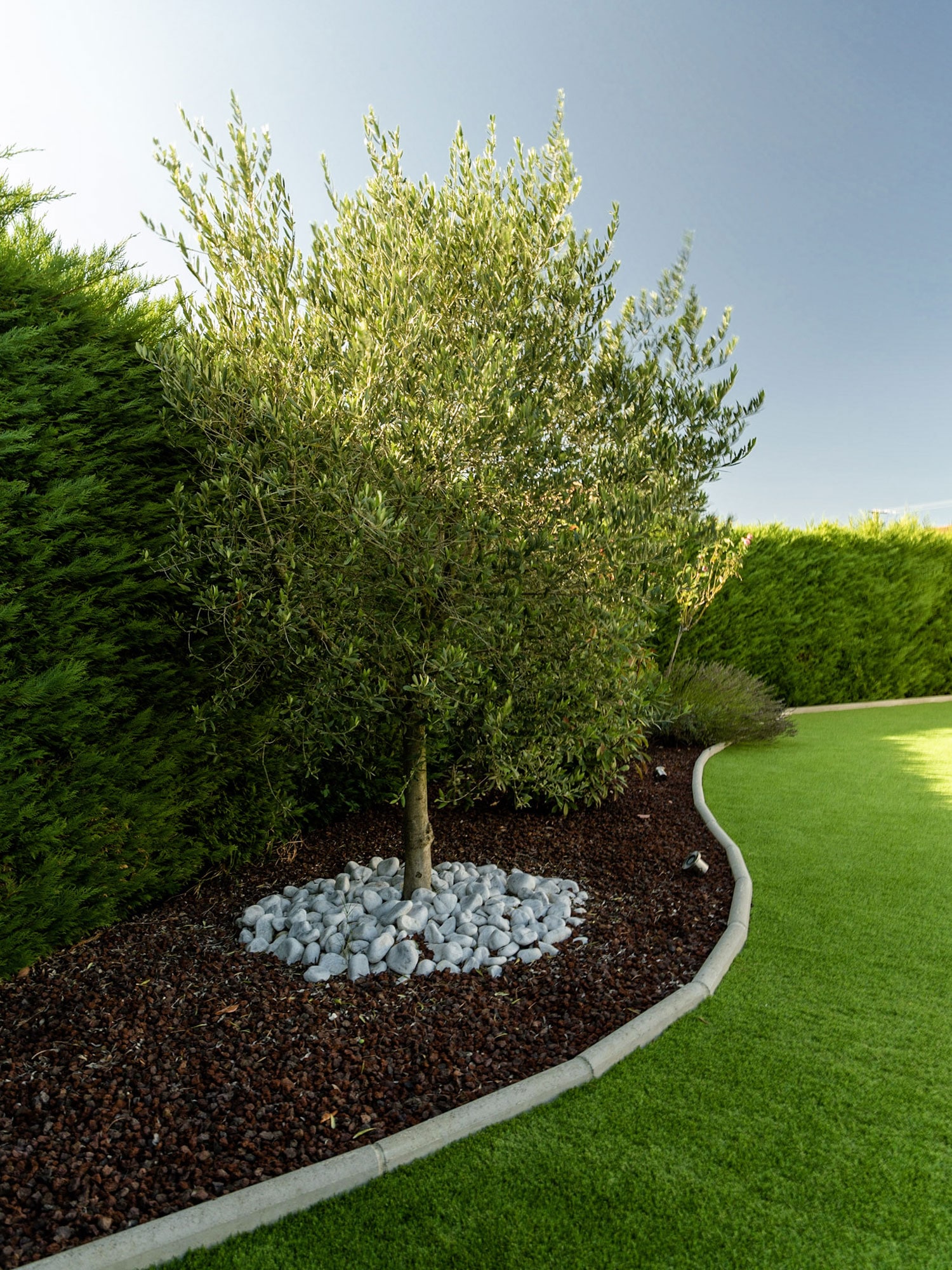 Choisir le bon paillis pour couvrir le sol du jardin