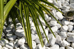 paillage mineral