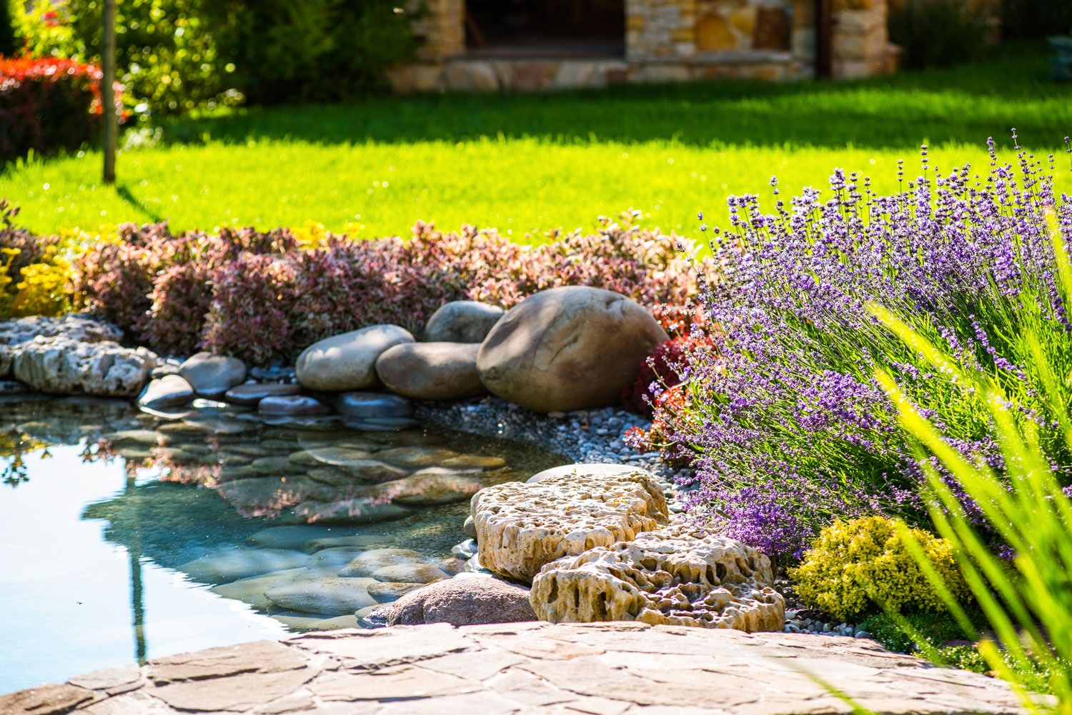 L'entretien du bassin de jardin