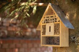 tous-les-insectes-du-jardin