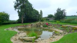 ameline arbora-paysagiste dinan - bassin
