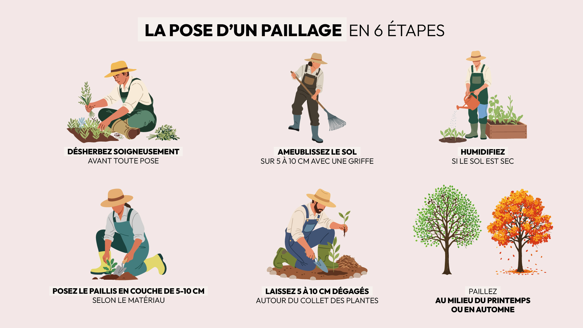 conseils pose et entretien paillis jardin selon type