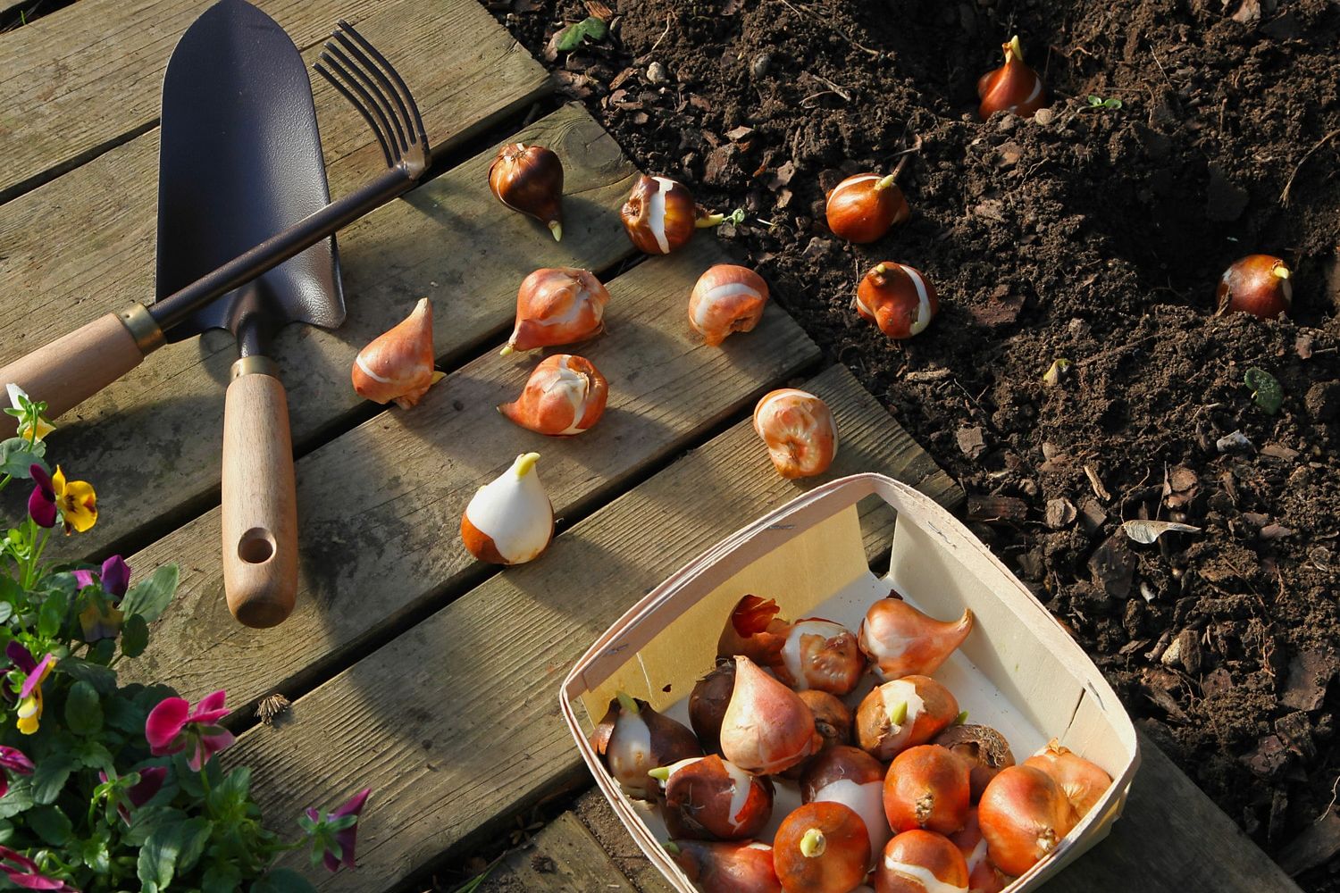 jardin écologique,jardin ecolo