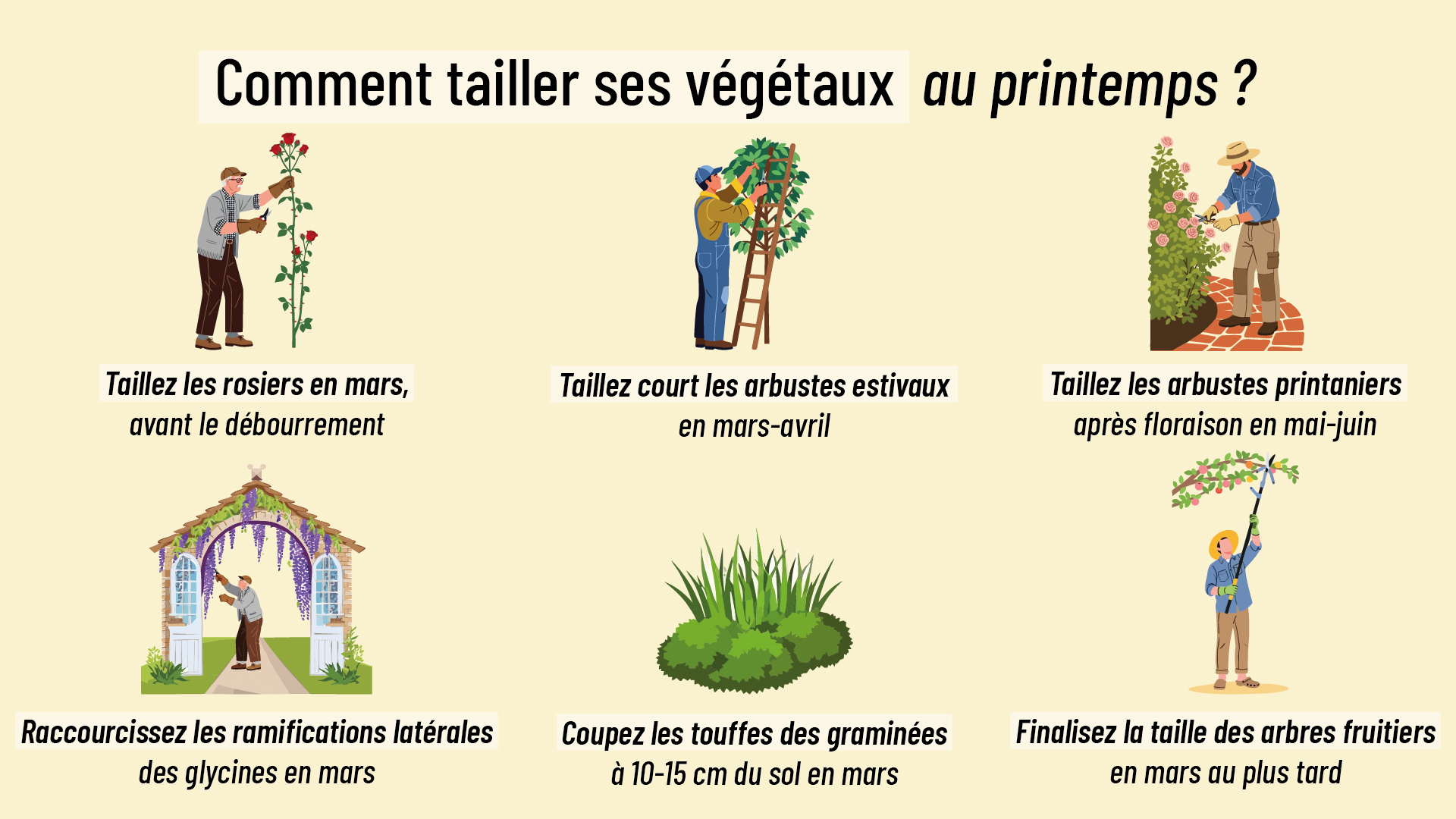 conseils pour tailler plantes, arbres et arbustes au printemps