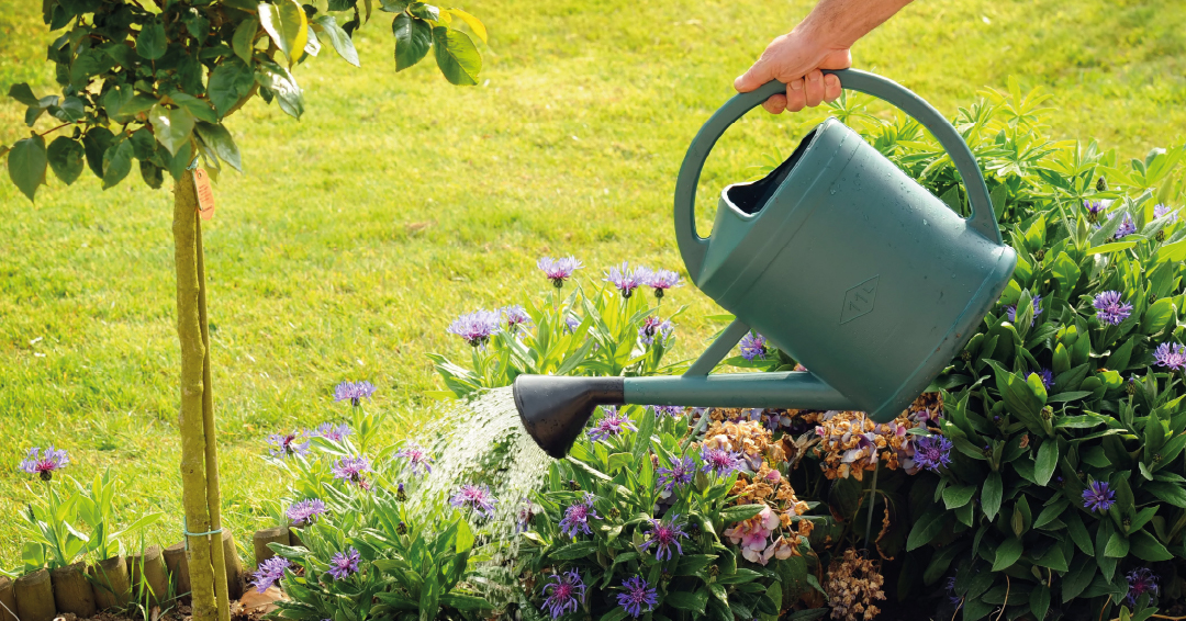 paillage de massifs pour protéger les végétaux de la hausse des températures