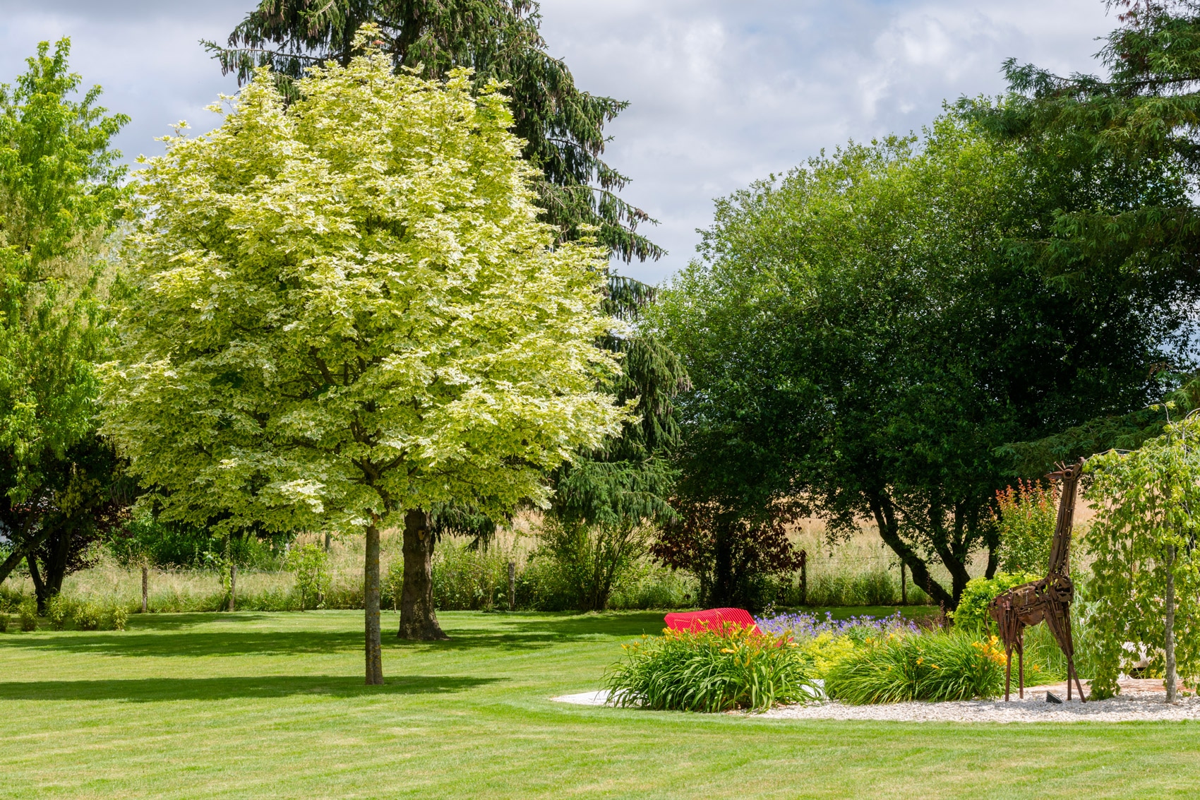 aménagement paysager sous un arbre