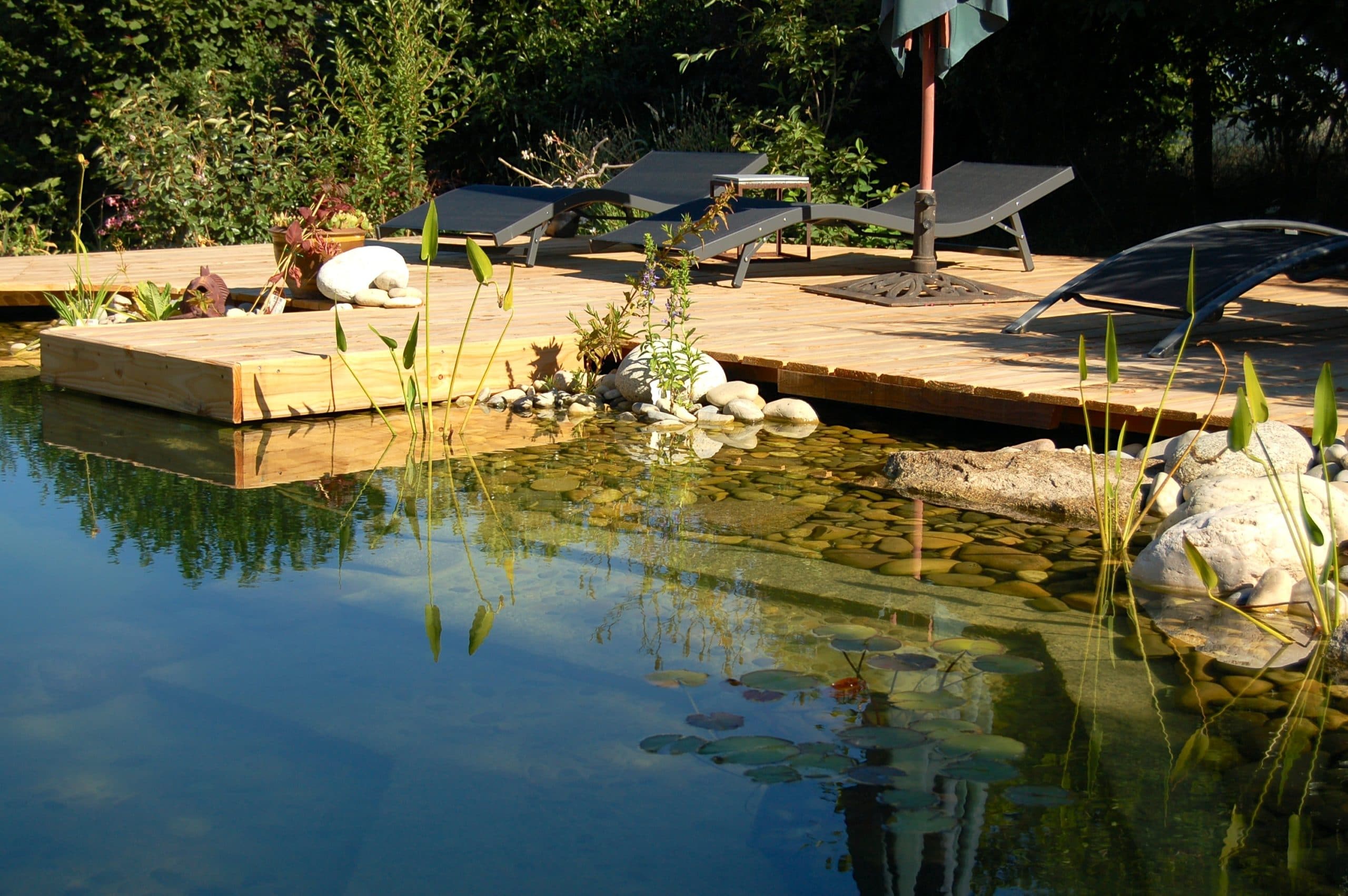 Piscine Biologique