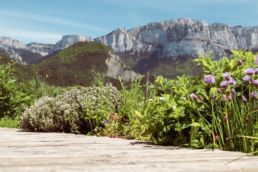 jardin des saveurs