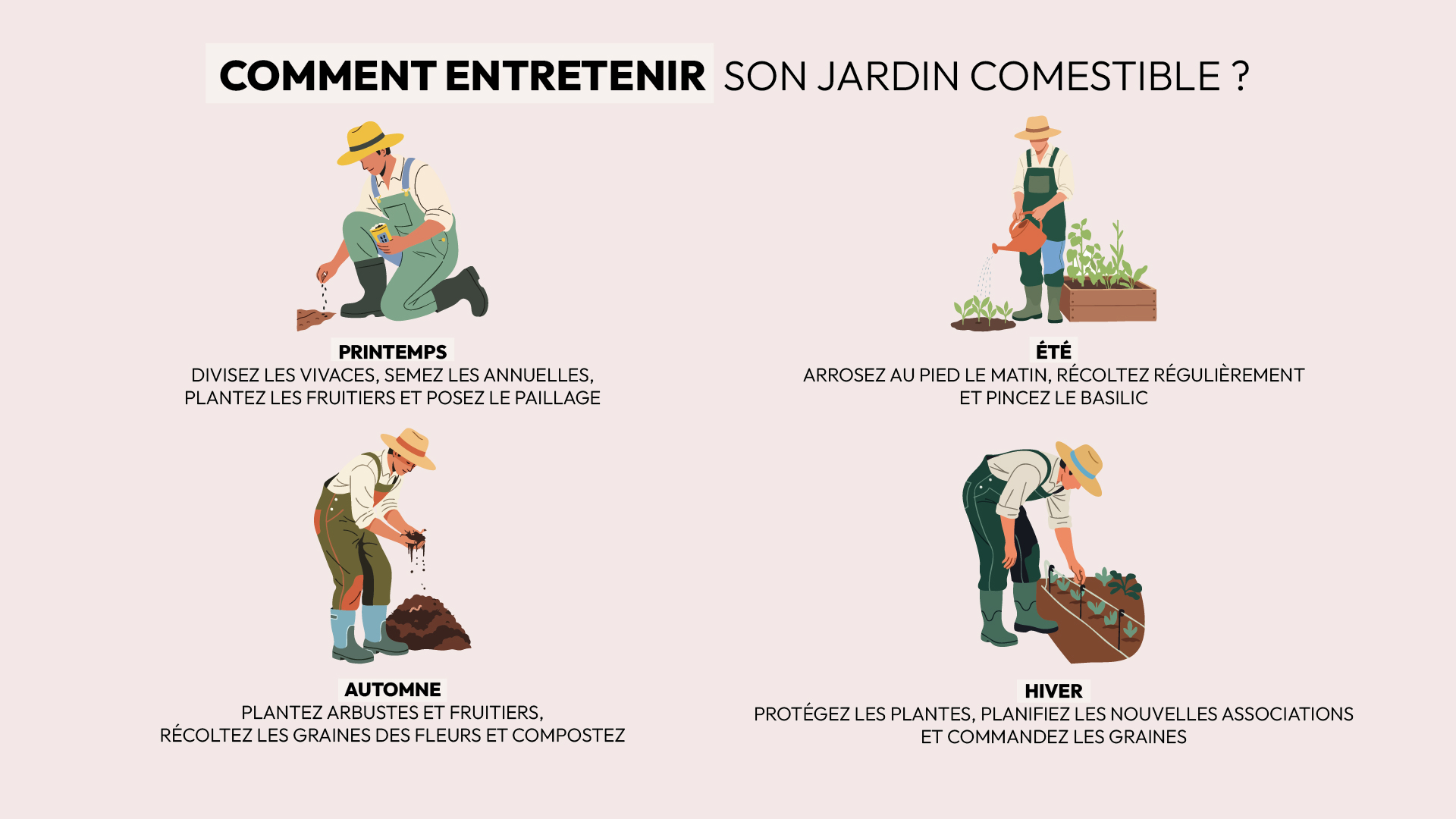 conseils pour entretenir plantes comestibles potager verger aromatiques