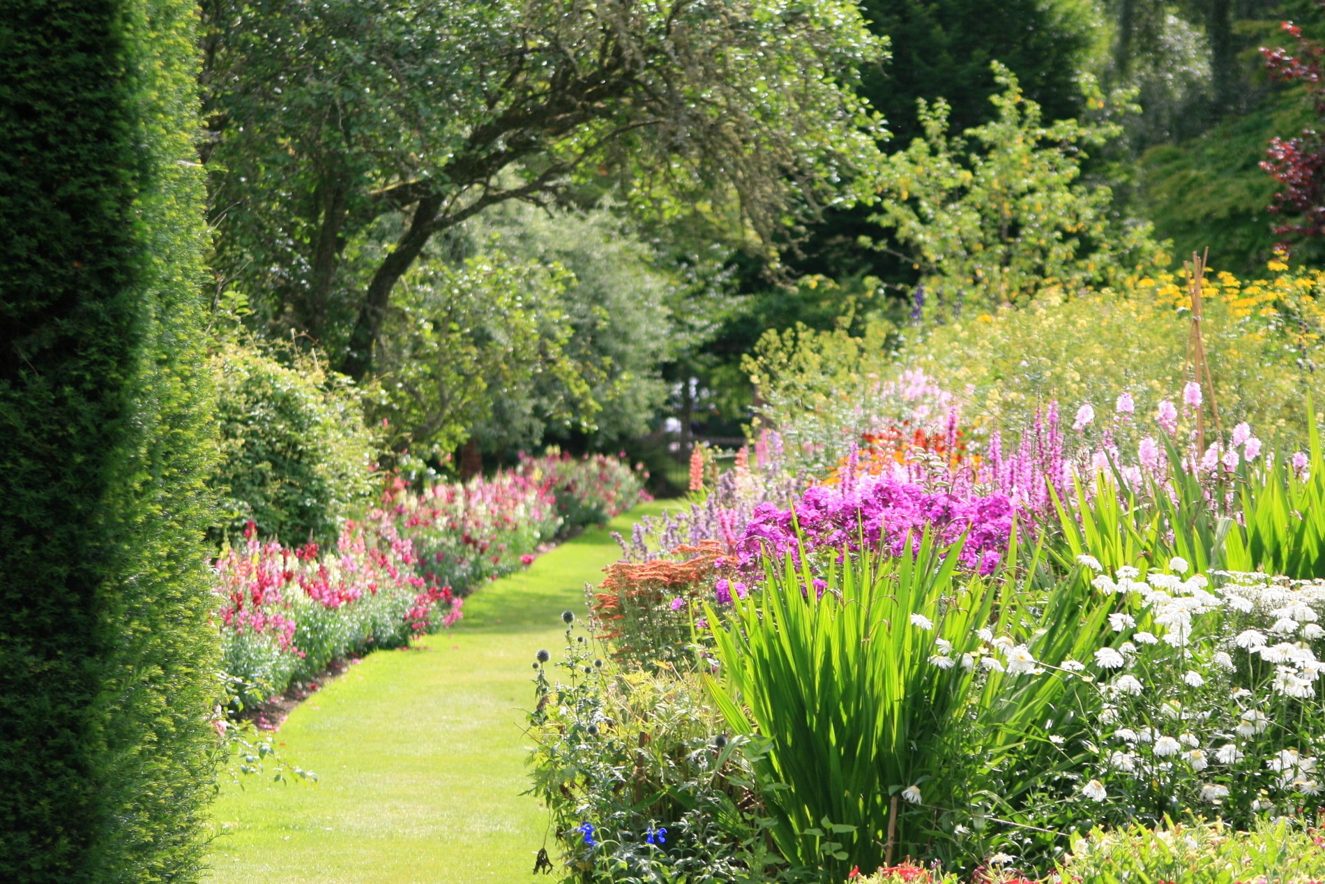 Paillage Minéral : Le Guide Complet Pour Sublimer Votre Jardin