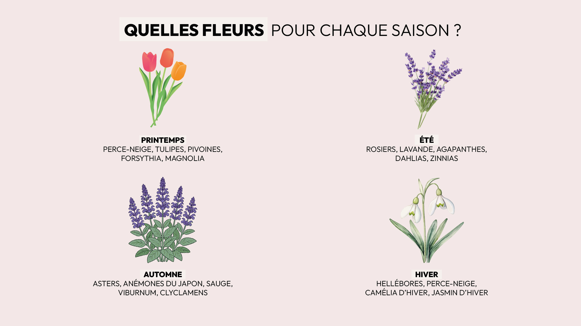 floraison des fleurs vivaces et bulbes selon les saisons