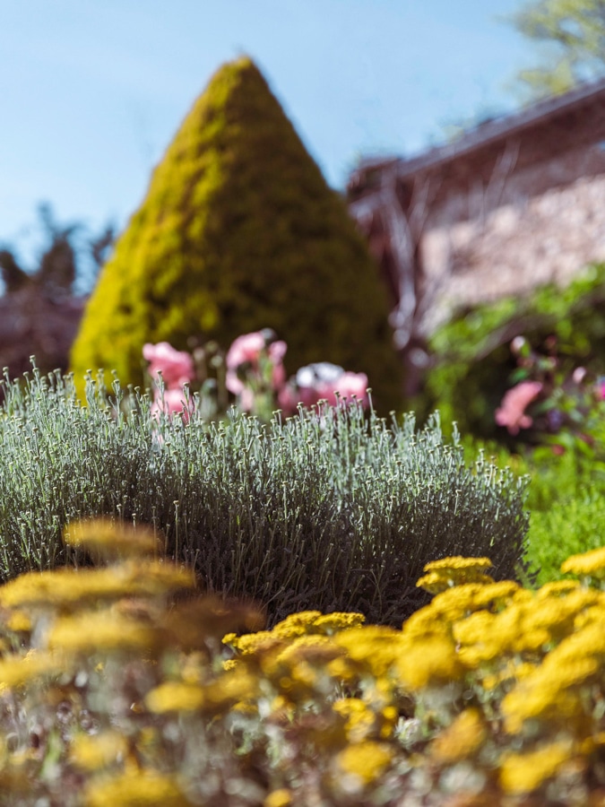 fleurs de jardin d été,fleurs de jardin d&#039;été