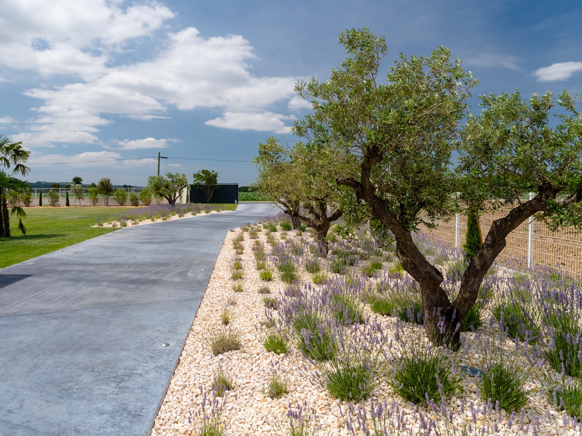 Tout savoir sur l'aménagement d'un jardin contemporain zen