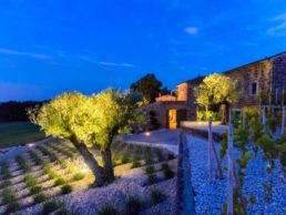 jardin contemporain zen