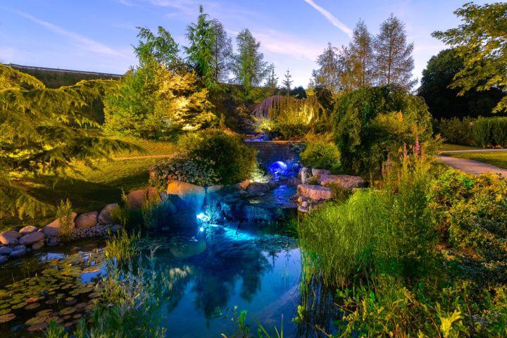 jardin ecologique