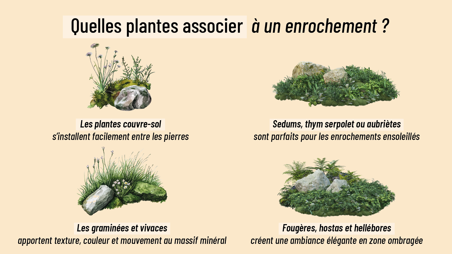 les différentes plantes à associer à un enrochement de jardin