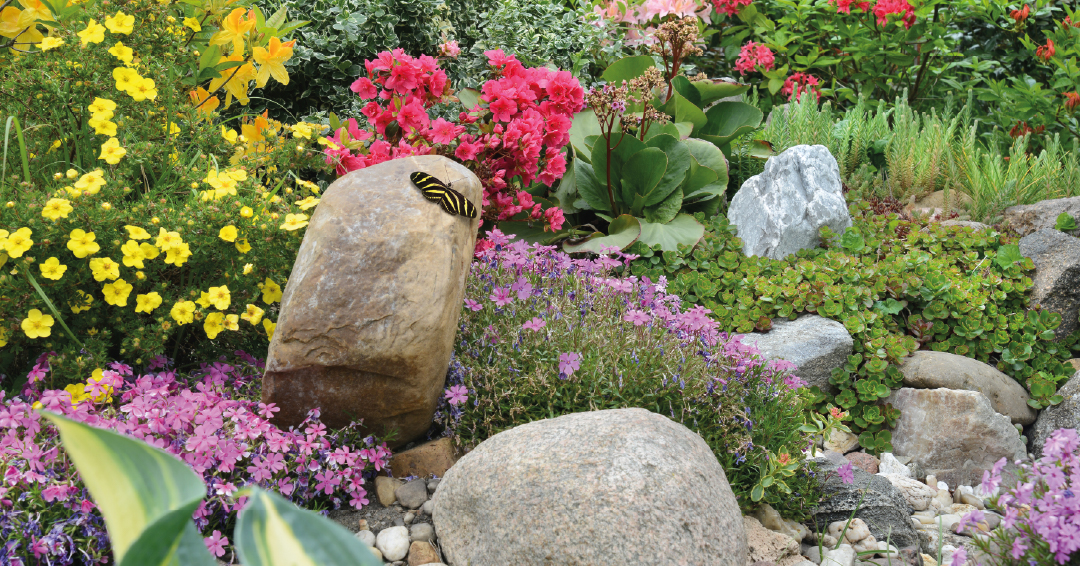 des rochers dans un massif de jardin avec des fleurs