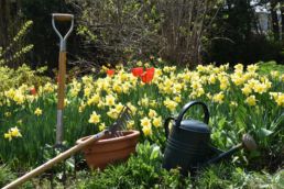 création de jardin