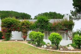 entretien de jardin