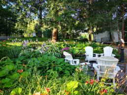 Paysage entretien jardin