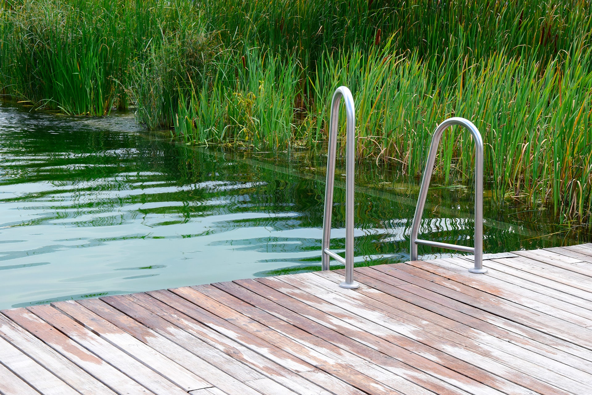 piscine naturelle