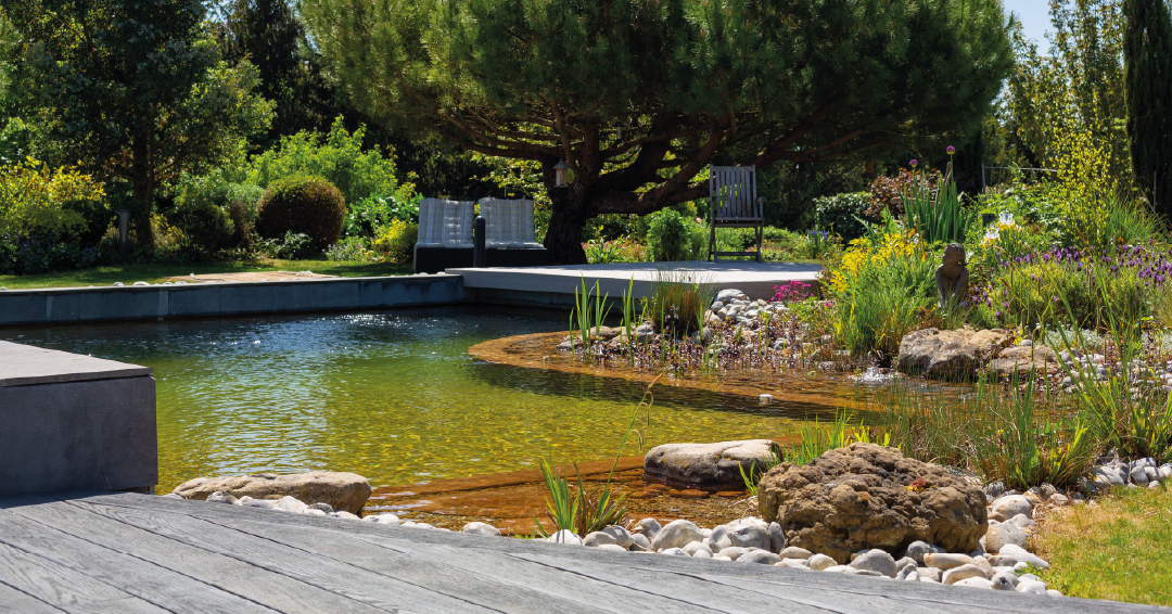 piscine biologique bordures béton zone lagunage