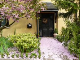 amenager cour extérieure pas cher