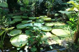 jardin écologique