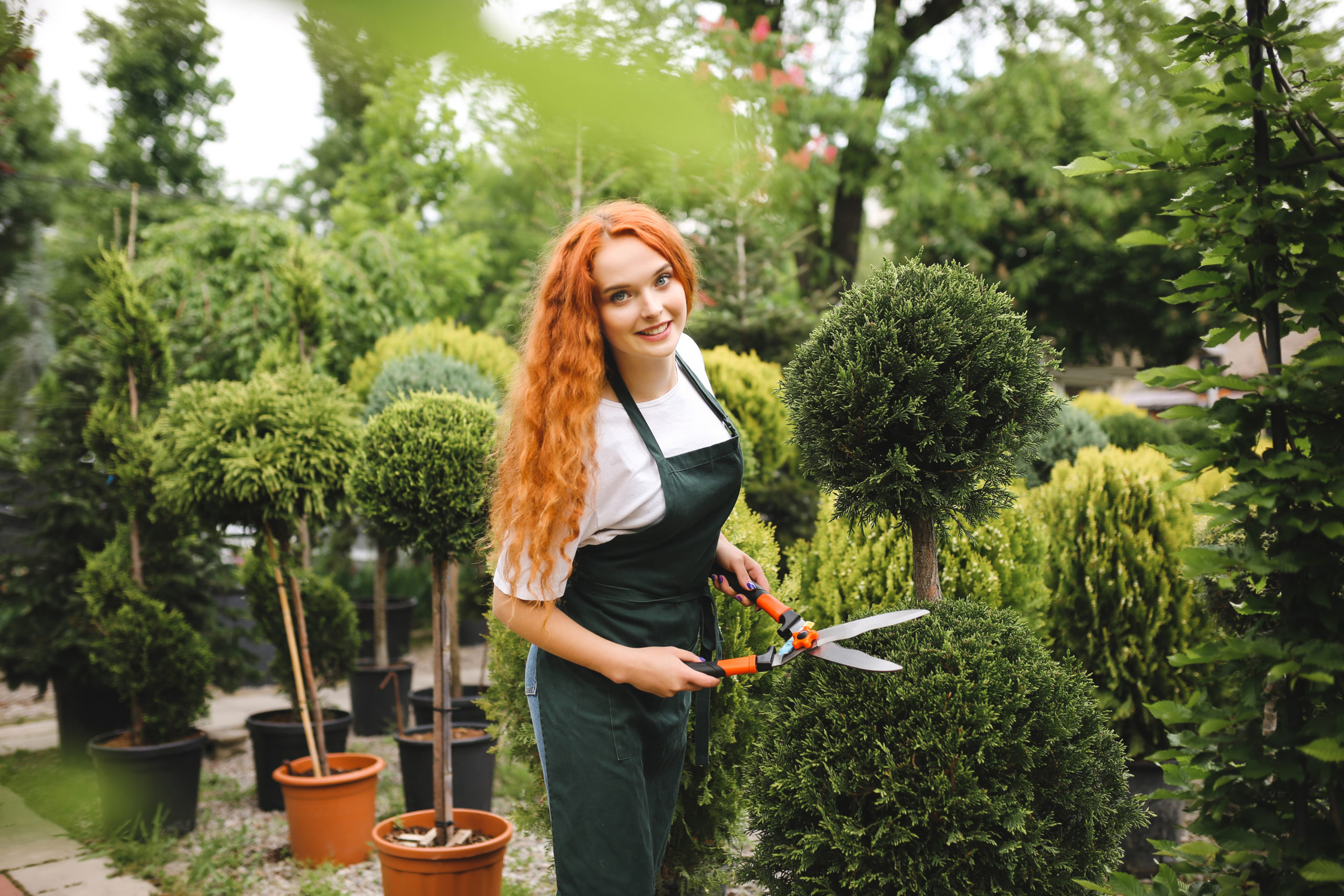 jardinier paysagiste