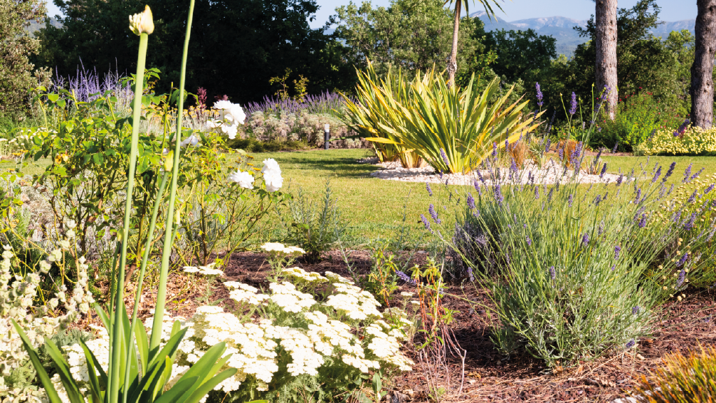 gestion eau jardin écologique récupération pluie goutte à goutte paillage