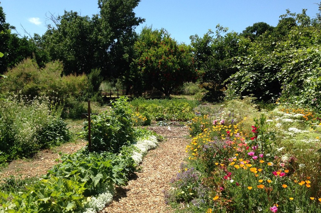 Jardin résilient face au changement climatique