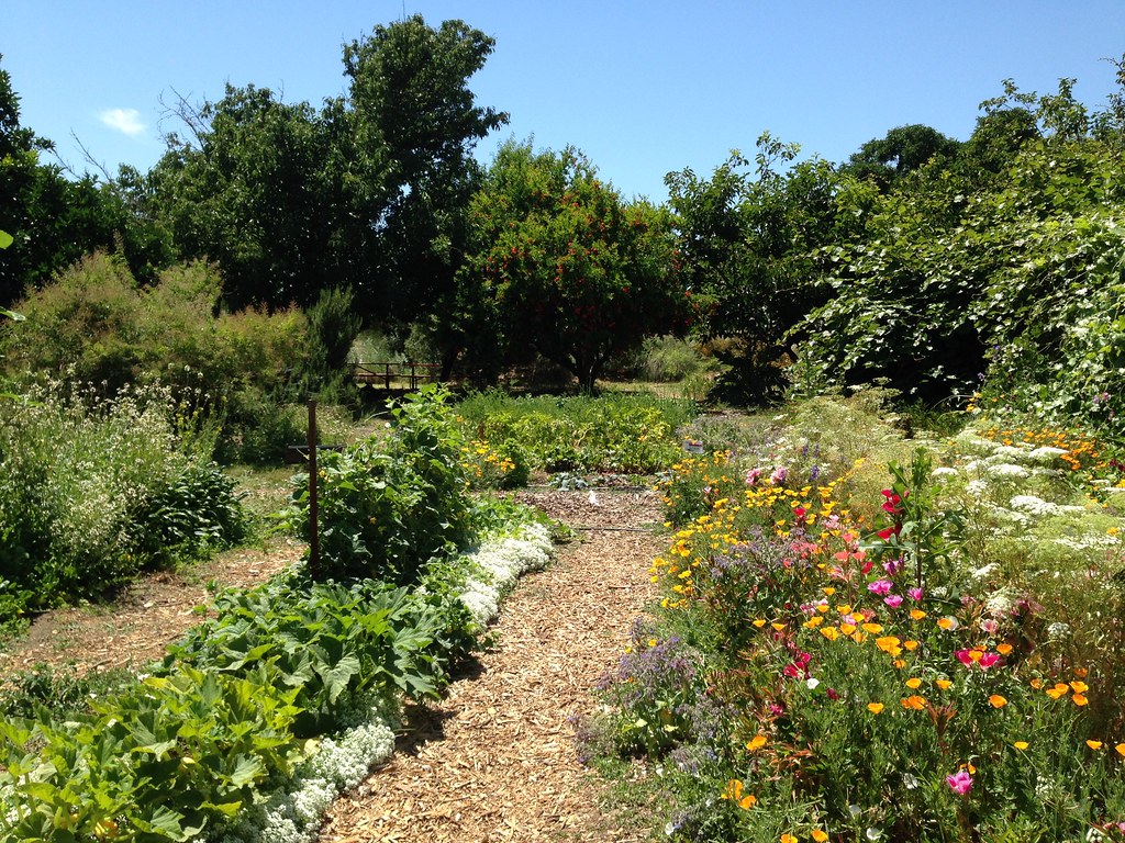 Jardin résilient face au changement climatique