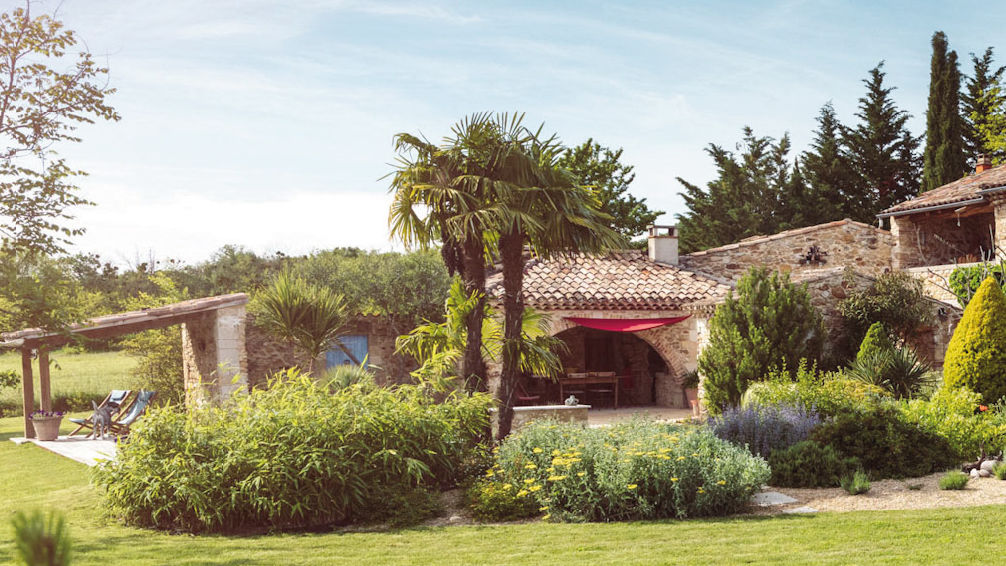 palmiers jardin bords piscine chamaerops terrasse été exotique