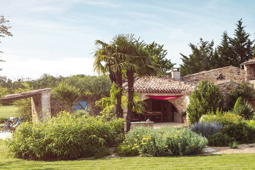 palmiers jardin bords piscine chamaerops terrasse été exotique
