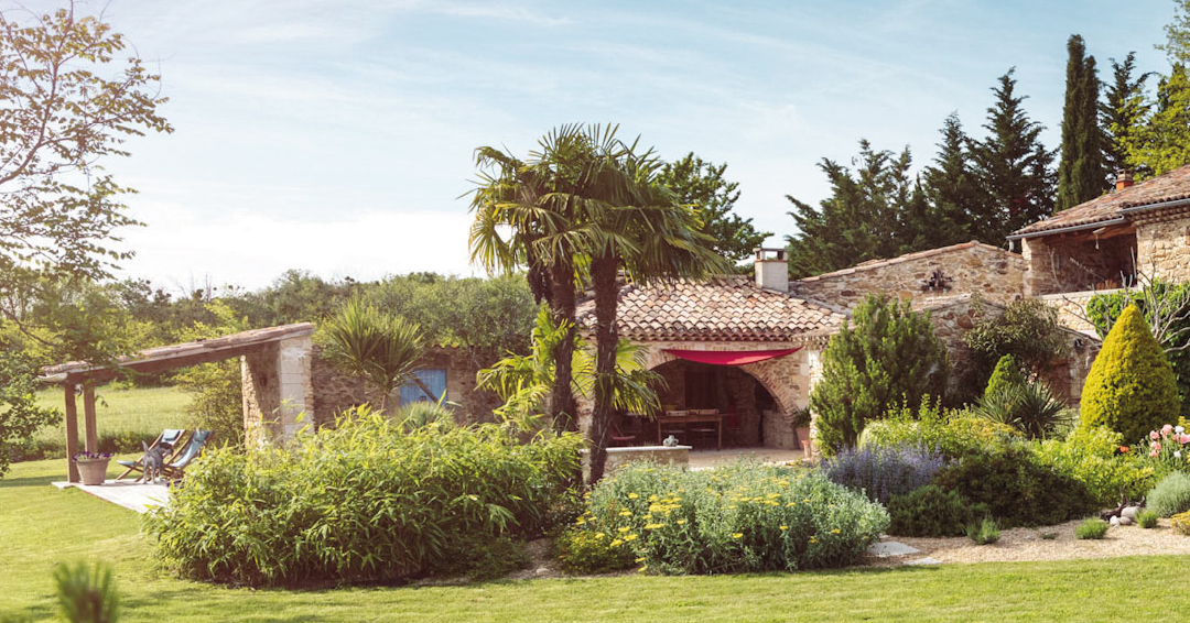 palmiers jardin bords piscine chamaerops terrasse été exotique