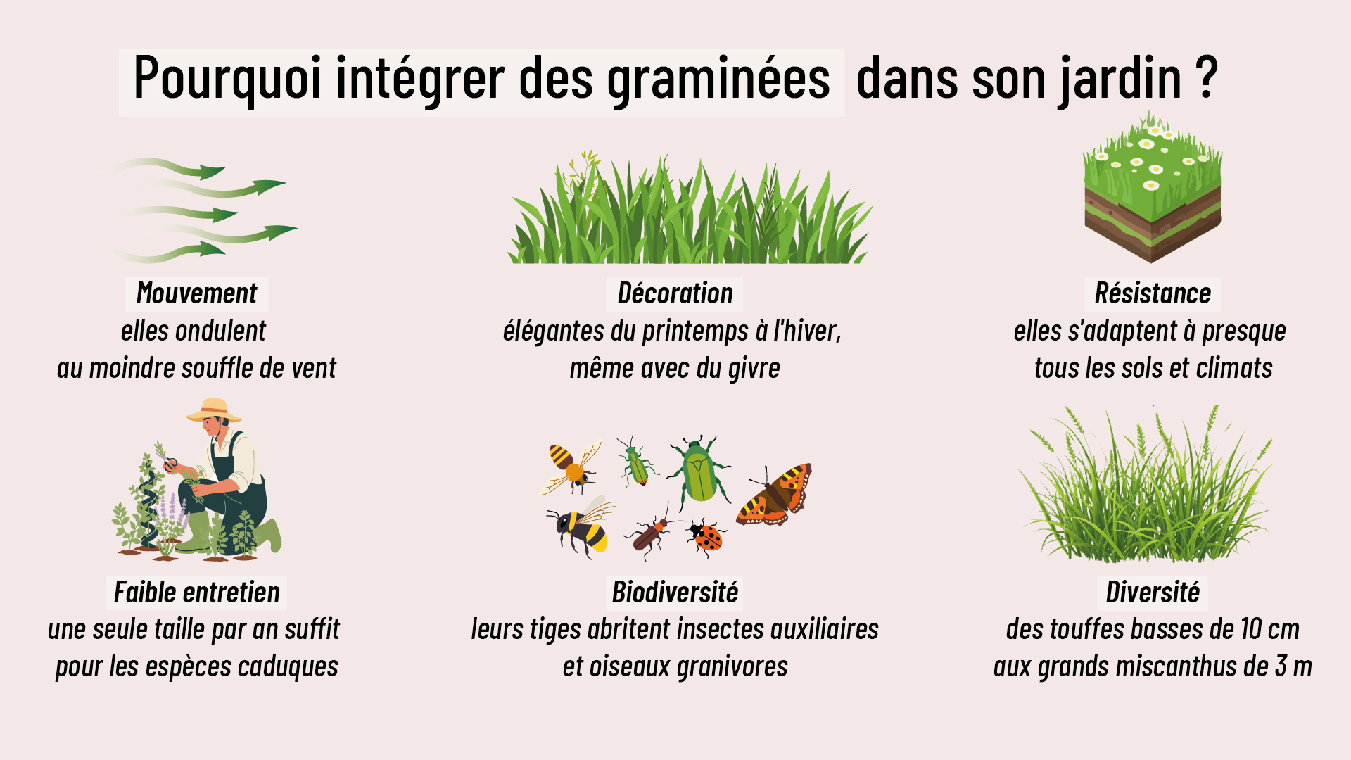 intérêts de planter des graminées dans son jardin