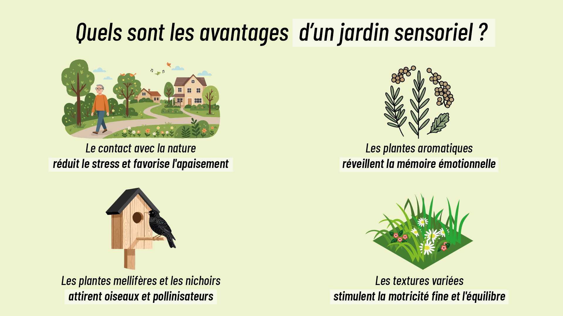 avantages d’aménager un jardin sensoriel chez soi avec des plantes comestibles et colorées