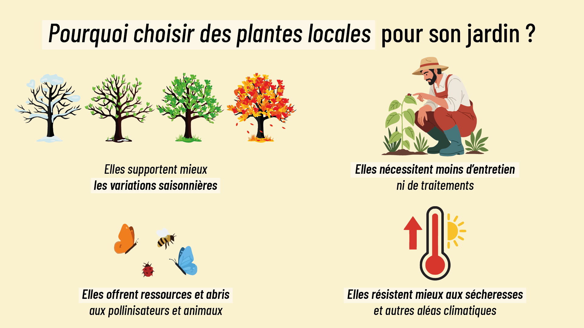 intérêts de choisir des plantes locales pour son jardin