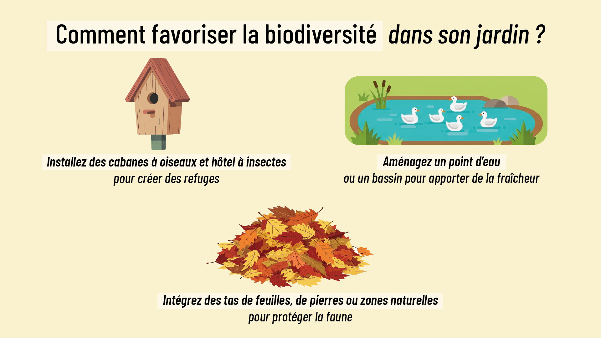 conseils pour favoriser la biodiversité dans son jardin