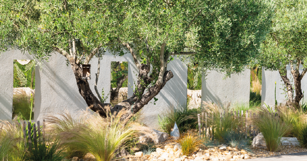 des végétaux adaptés au climat local pour un jardin résilient