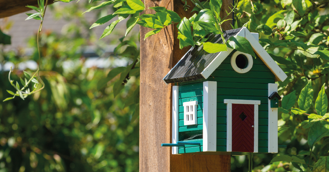 une cabane à oiseaux sur un arbre pour favoriser la biodiversité au jardin