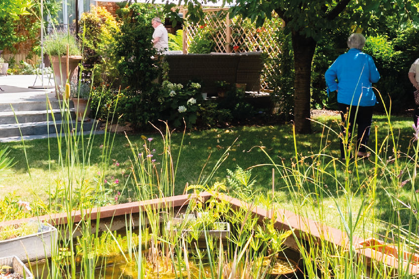 jardin coloré qui stimule les 5 sens avec bassin et tonnelle