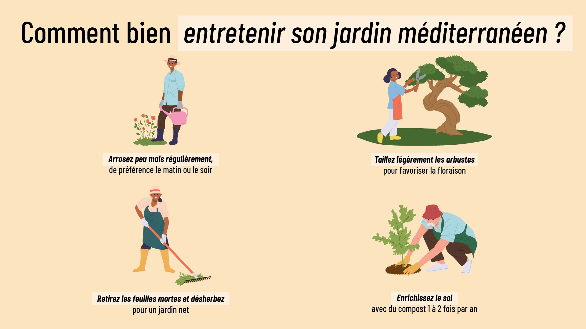conseils pour entretenir un jardin de style méditerranéen