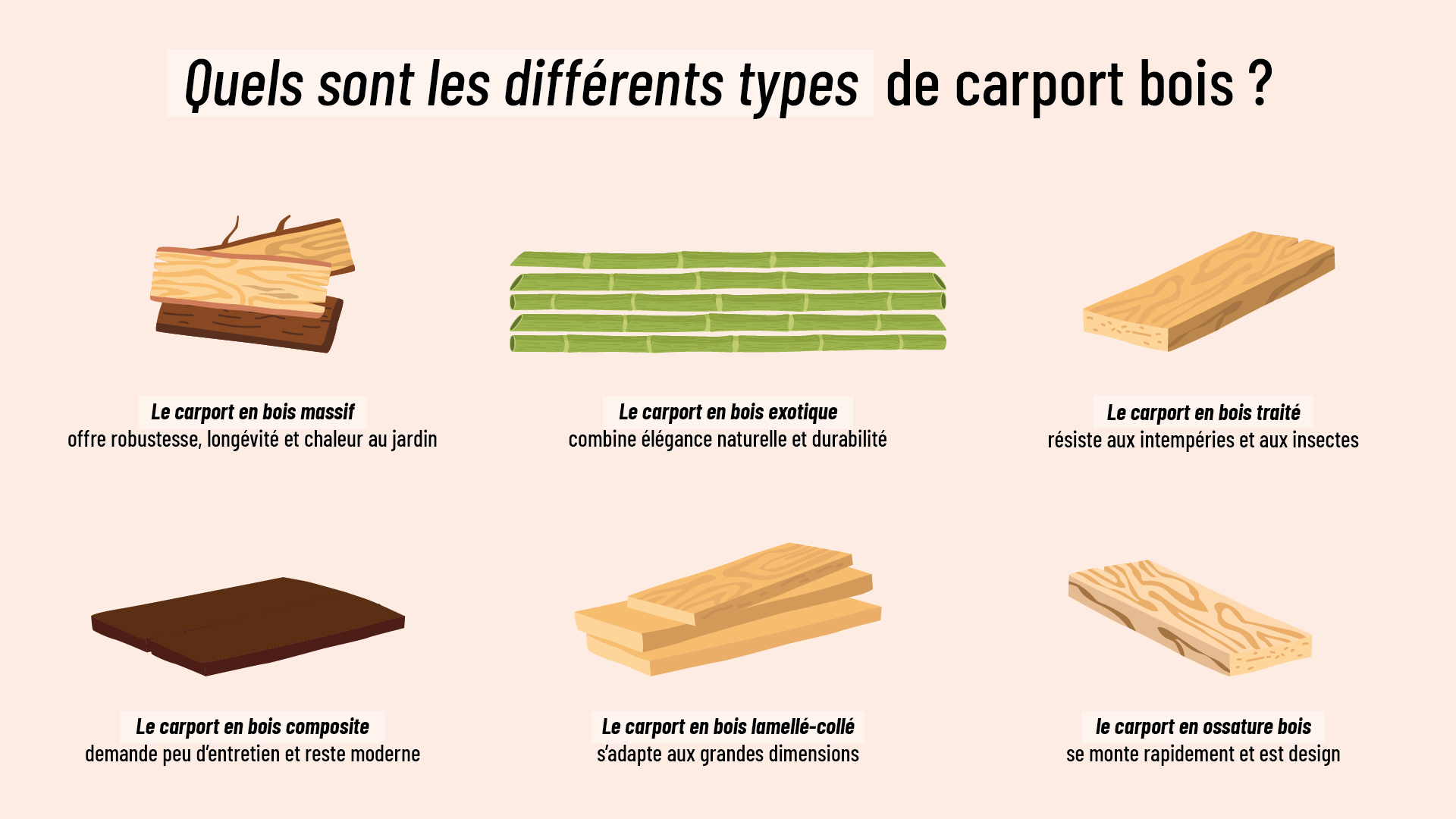 infographie détaillant les différents types de carports en bois