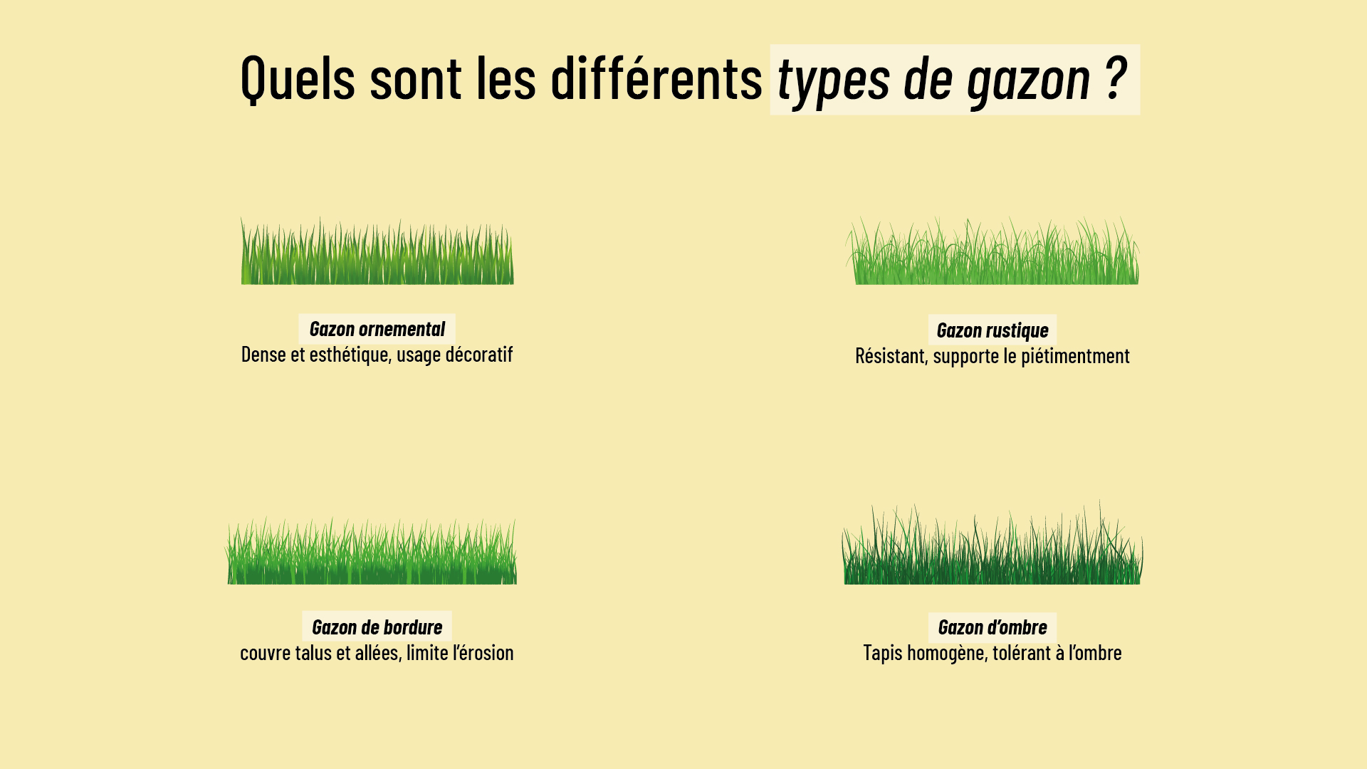 les différents types de gazons