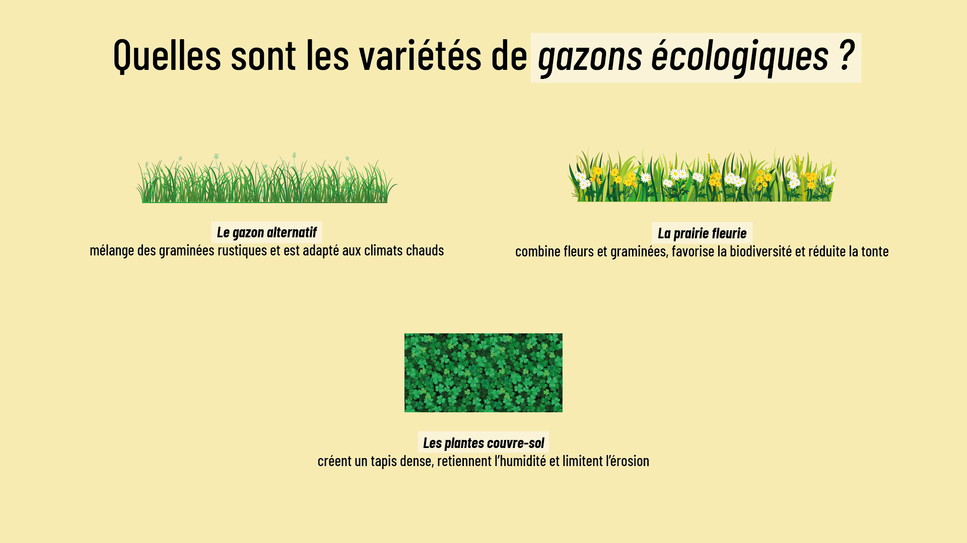 les variétés de gazon écologique