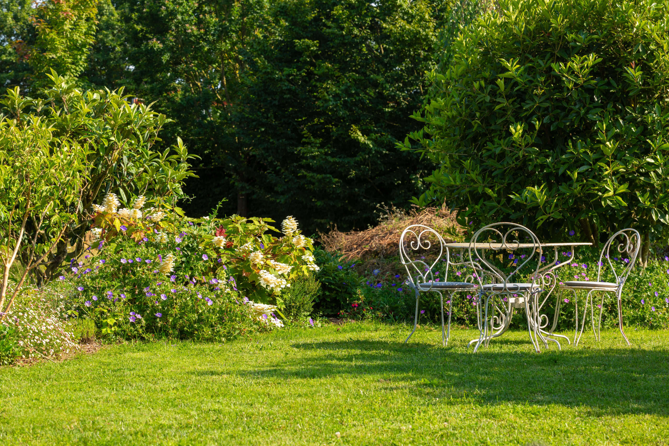 une pelouse avec un salon de jardin