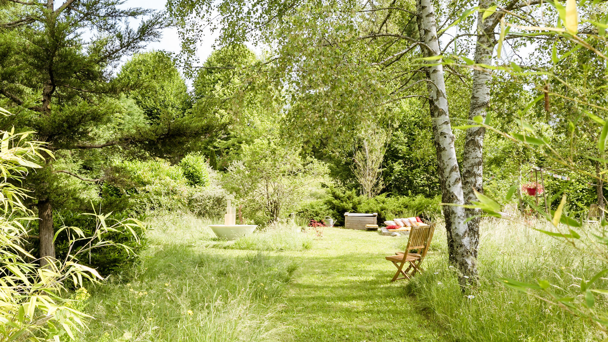 un engazonnement réalisé dans un jardin